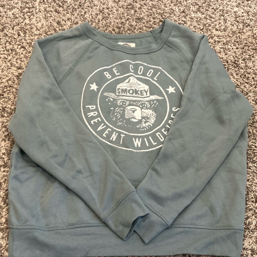 Smokey the bear sweater